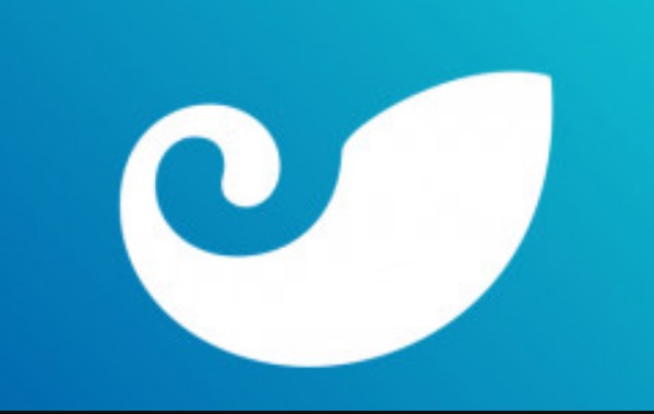 <strong>token wallet钱包(token钱包的功能)</strong>